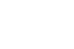 לוגו - קבוצת זוארץ