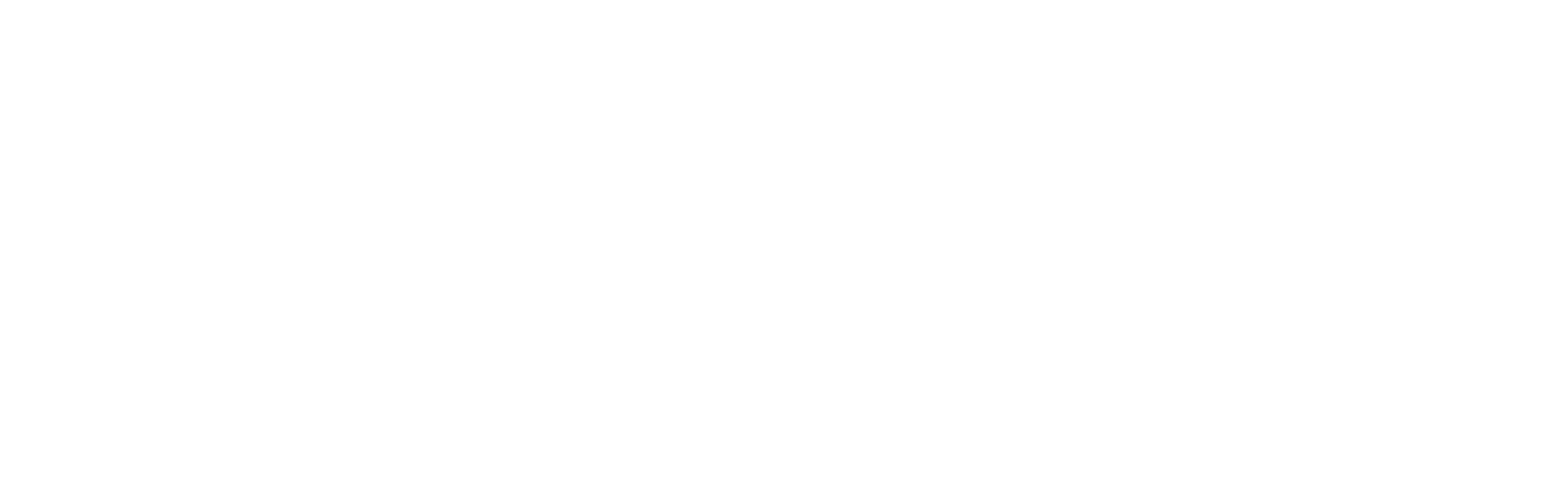Logo White