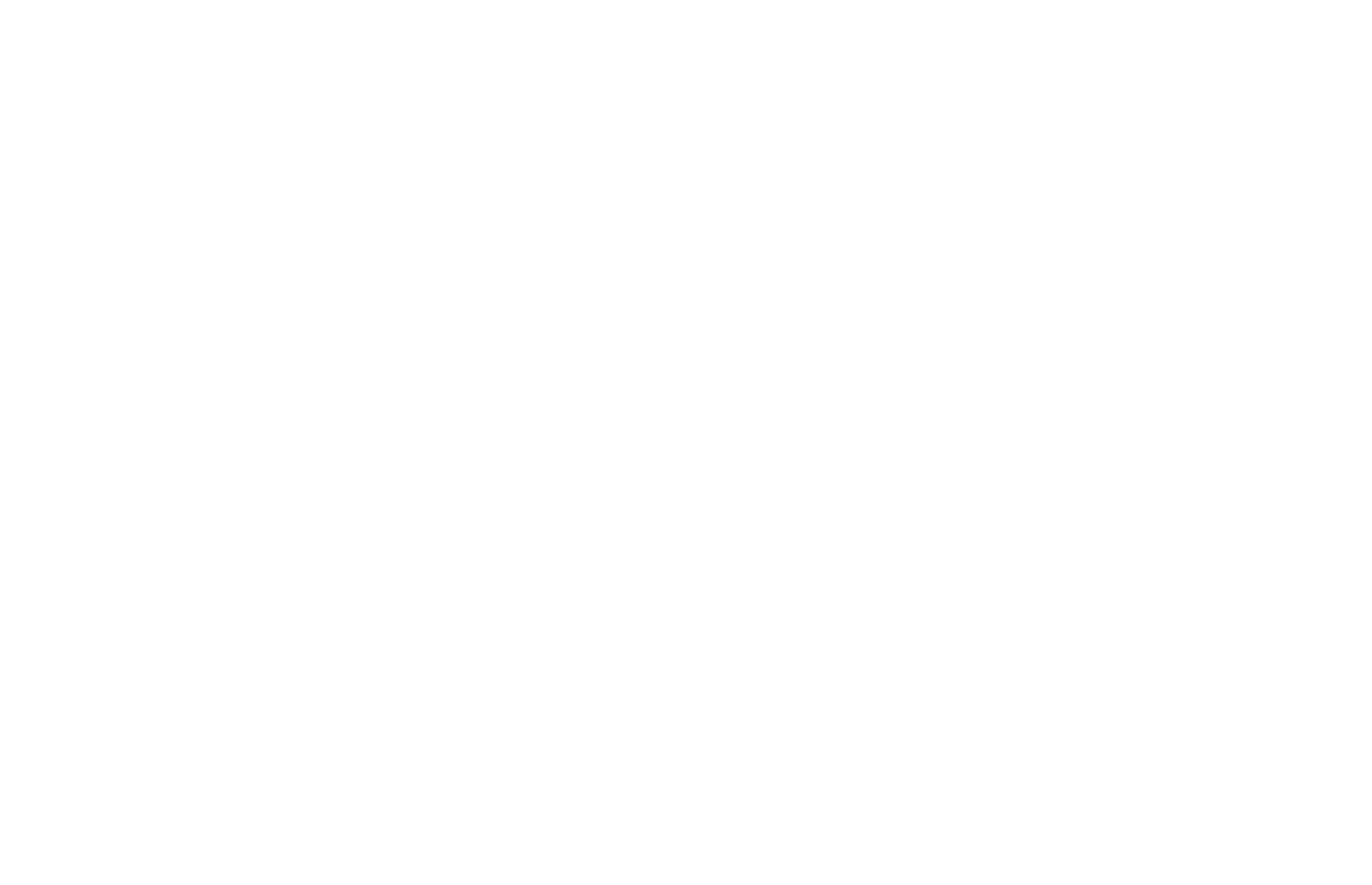 NOVA LOGO WHITE